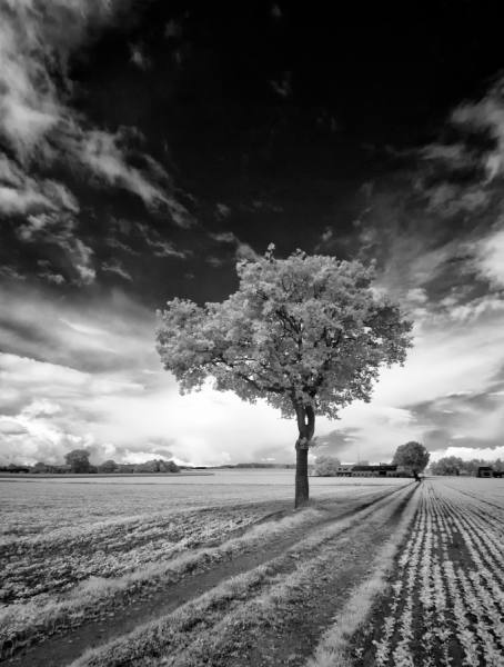 Photograph Gert Van Den Bosch Follow The Lines on One Eyeland
